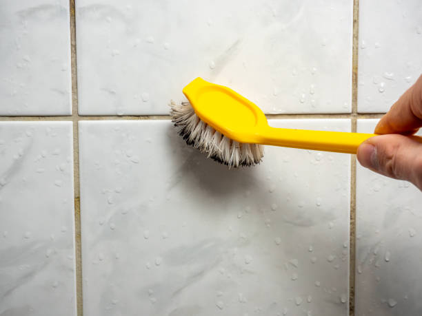 Best Emergency Mold Removal  in Camp Springs, MD