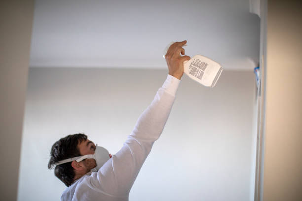 Best Commercial Mold Removal  in Camp Springs, MD